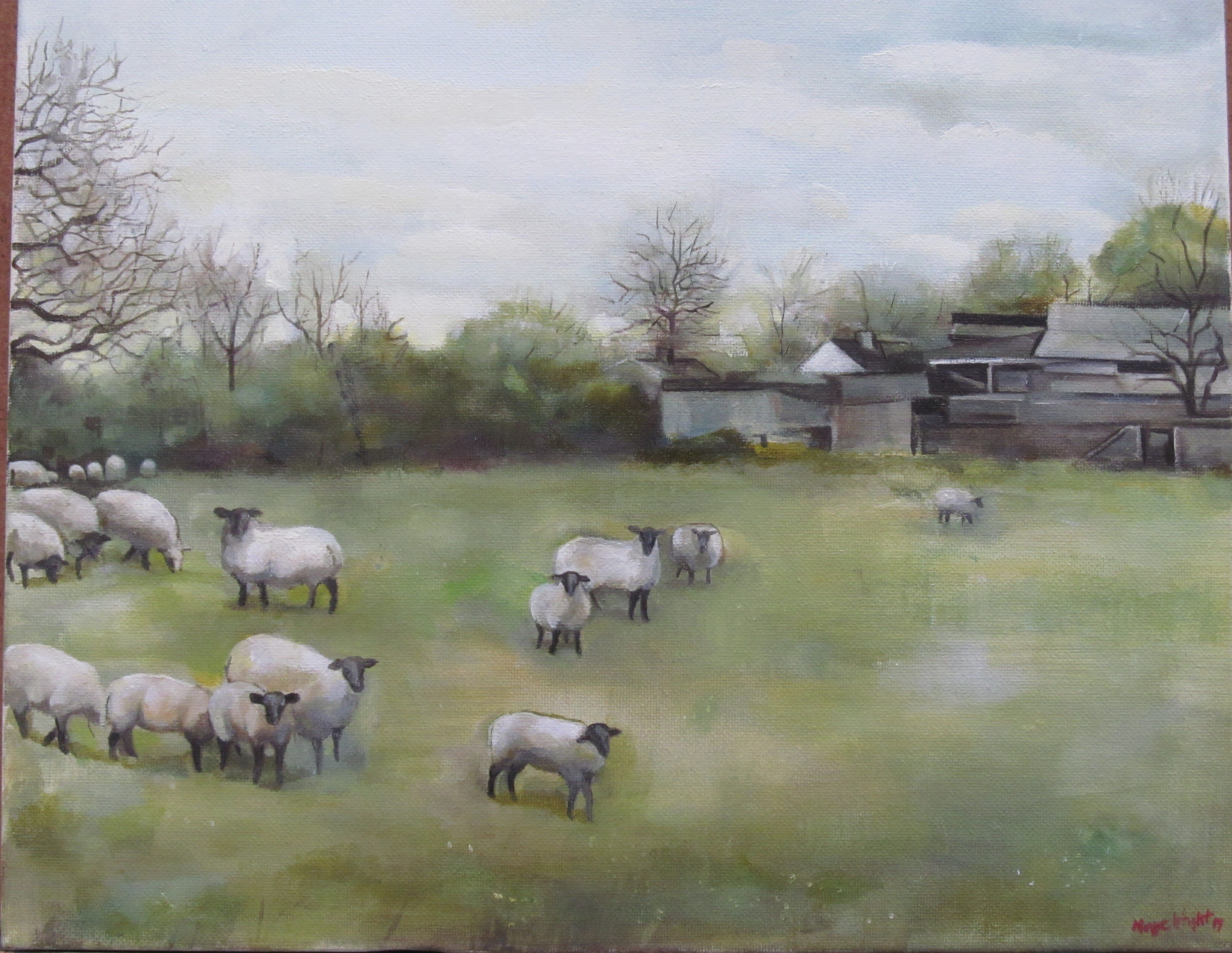 Paddy Joe's Sheep Scattering by Maggie Wright